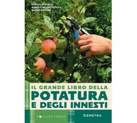 Libri Enrica Boffelli / Furlani Pedoja Anna / Sirtori Guido - Il Grande Libro De