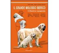 Il grande molosso iberico. Il mastino spagnolo