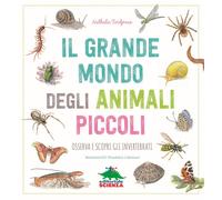 Il grande mondo degli animali piccoli. Osserva e scopri gli invertebrati