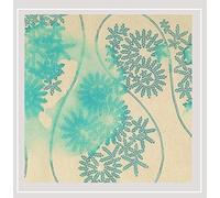 Il Grande Silenzio - Il Grande Silenzio