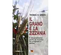 Il grano e la zizzania. Il discernimento: punto di incontro tra preghiera e azione