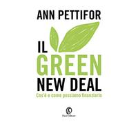 Il green new deal. Cos'è e come possiamo finanziarlo - Pettifor Ann