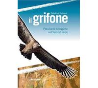 Il grifone. Peculiarità biologiche nell'habitat sardo