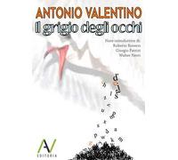 Il grigio degli occhi. Ediz. a caratteri grandi