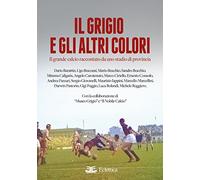 Il grigio e gli altri colori. Il grande calcio raccontato da uno stadio di provincia. Ediz. a colori