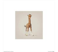 Il Gruppo Art John Butler (Giraffe) - Stampa Artistica 30 x 30 cm, Carta, Multicolore, 30 x 30 x 1.3 cm
