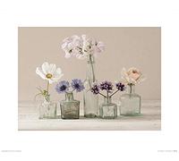 Il Gruppo Fiore Art Collection II Ian Winstanley Stampa Artistica, Carta, Multicolore, 40 x 50 x 1.3 cm