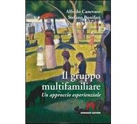 Il gruppo multifamiliare. Un approccio esperienziale