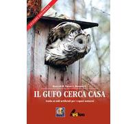 Il gufo cerca casa. Guida ai nidi artificiali per i rapaci notturni