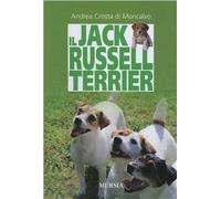 Il Jack Russell terrier