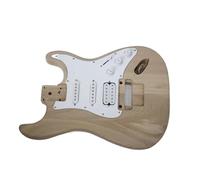 Il Kit Di Costruzione Per Chitarra Elettrica Fai-da-te Include Tutti Gli Accessori