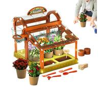 Il Kit Scientifico Per La Coltivazione Delle Piante Per Bambini Include Un'