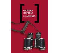 Il labirinto
