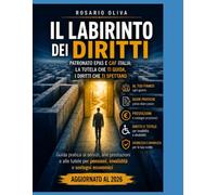 IL LABIRINTO DEI DIRITTI: GUIDA PRATICA AI PATRONATI E ALLE PENSIONI