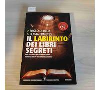 Il labirinto dei libri segreti