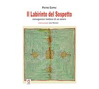 Il labirinto del sospetto. Conseguenze inattese di un amore