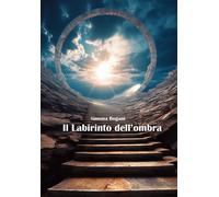 Il labirinto dell'ombra - Bogani Simona