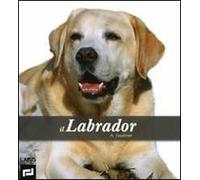 Il labrador. Ediz. illustrata