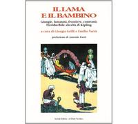 Il lama e il bambino. Giungle, fantasmi, frontiere, contrasti: l'irriducibile al