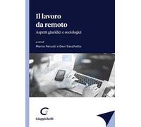 Il lavoro da remoto. Aspetti giuridici e sociologici