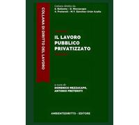IL LAVORO PUBBLICO PRIVATIZZATO