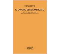 Il lavoro senza mercato. Le prestazioni di lavoro nelle organizzazioni non profit