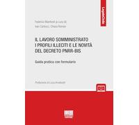 LAVORO SOMMINISTRATO I PROFILI ILLECITI E LE NOVITA' DEL DECRETO PNRR-BIS -