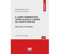 Il lavoro somministrato i profili illeciti e le novità del decreto PNRR-BIS. Guida pratica con formulario. Con espansione online