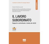Il lavoro subordinato. Rapporto contrattuale e tutela dei diritti