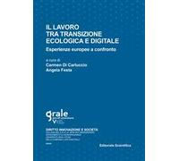Il lavoro tra transizione ecologica e digitale. Esperienze europee a confronto. Ediz. multilingue