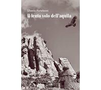 Il lento volo dell'aquila