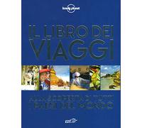 Il libro dei viaggi. Alla scoperta di tutti i paesi del mondo. Ediz. illustrata