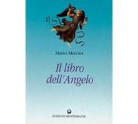Il libro dell'angelo