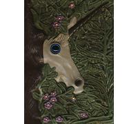 Il libro segreto degli unicorni. Ediz. plastificata