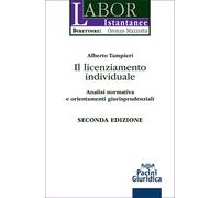Il licenziamento individuale. Analisi normativa e orientamenti gi