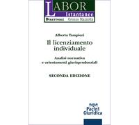 Il licenziamento individuale. Analisi normativa e orientamenti giurisprude...