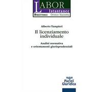 Il licenziamento individuale. Analisi normativa e orientamenti giurisprudenziali