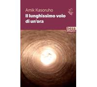 Il lunghissimo volo di un'ora