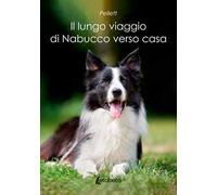 Il lungo viaggio di Nabucco verso casa