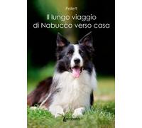 Il lungo viaggio di Nabucco verso casa - [EBS Print]