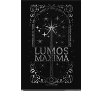 Il Magico Mondo : Harry Potter - Lumos Maxima Poster - 22x34 - 23006