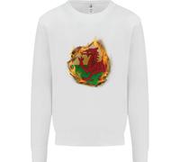 Il Maglione Con Effetto Fuoco Della Bandiera Gallese Del Galles Uomo
