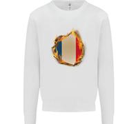 Il Maglione Per Bambini Con La Bandiera Tricolore Francese Di Francia