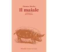 Il maiale [Hardcover] Macho, Thomas; Schalansky, Judith; Nordmann, Falk; Belpoli