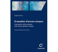 Il mandato d'arresto europeo. Grammatica della consegna nello spazio giuridico europeo