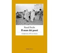 Il mare dei poeti. Castelporziano 1979, un romanzo