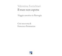 Il mare non aspetta. Viaggio emotivo in Norvegia