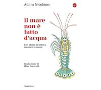 Il mare non è fatto d'acqua. Una storia di natura, creature e maree
