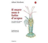 Il mare non è fatto d'acqua. Una storia di natura, creature e maree