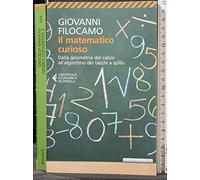Il matematico curioso. Dalla geometria del calcio all'algoritmo dei tacchi a spillo